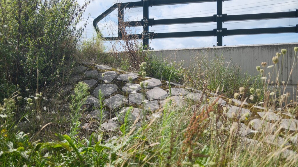 De Kraan Berkel-Enchot straat verhoging met keien, planten en railing
