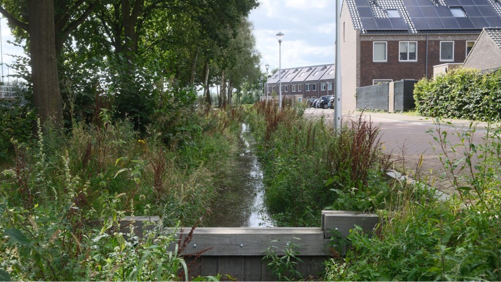 De Kraan Berkel-Enchot sloot met sluis, planten en bomen