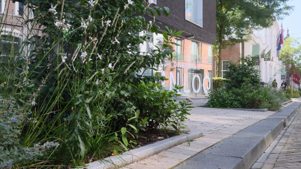 Stationsstraat Tilburg perk met op achtergrond gebouw met glas