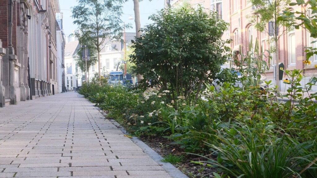 Stationsstraat Tilburg stoep met perk en planten