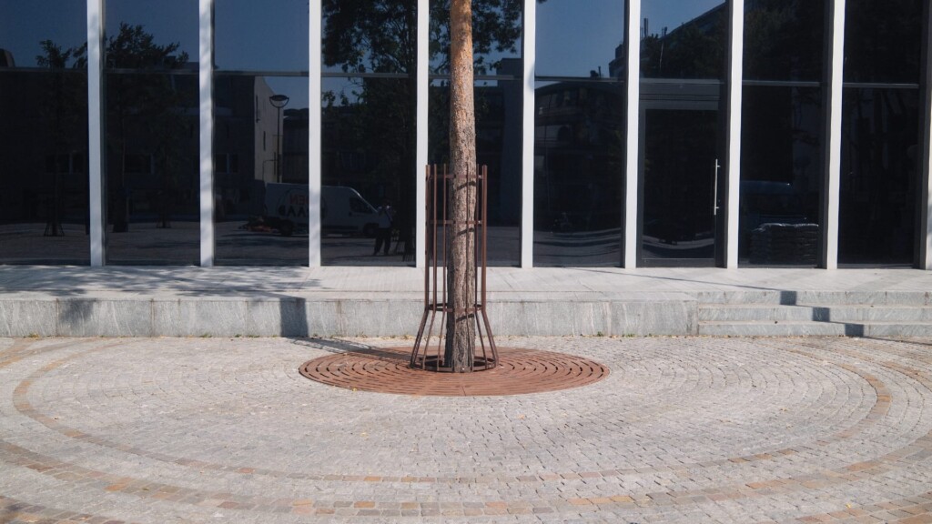 Stadsforum Tilburg boom met op achtergrond spiegelend raam