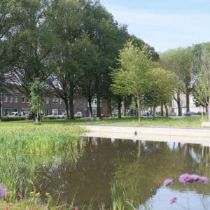 Textielplein Tilburg water met groen vierkante foto