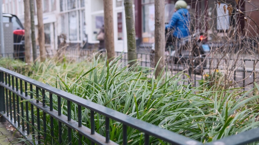 Boekhorststraat detailfoto van groenperken